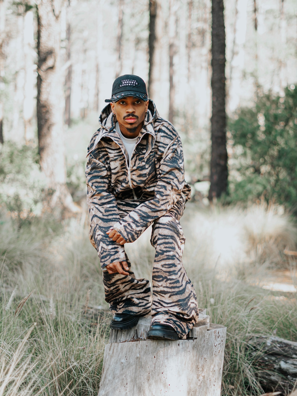 Tiger Hoodie Set